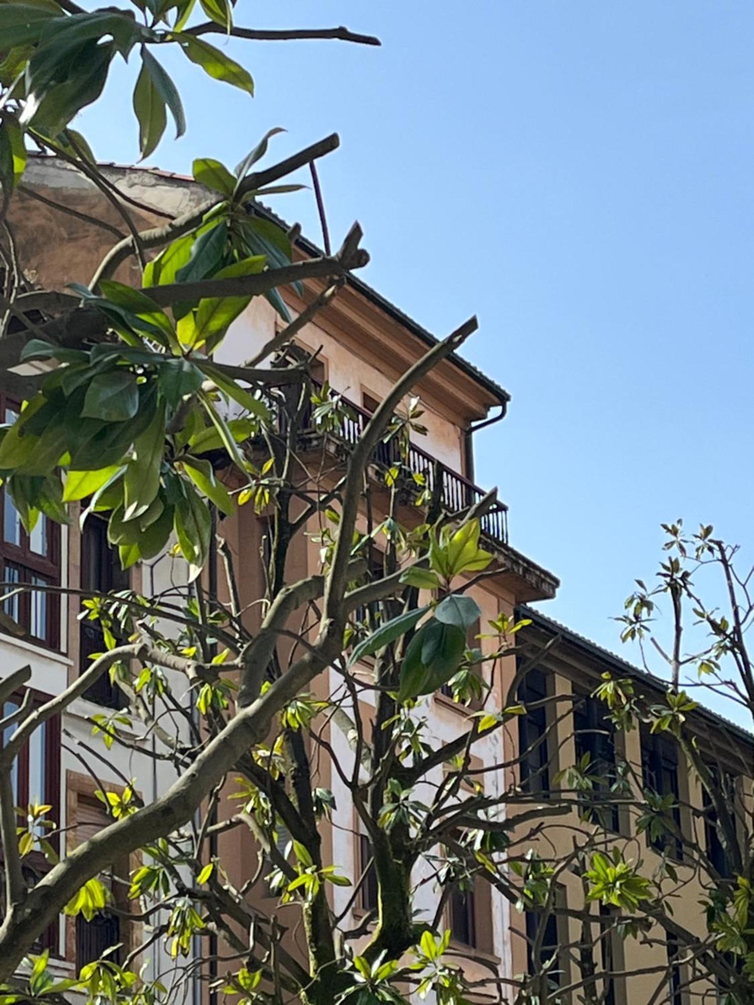 Apartamento Salsipuedes-La Catedral 오비에도 외부 사진